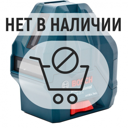 Лазерный уровень Bosch GLL 3-15X